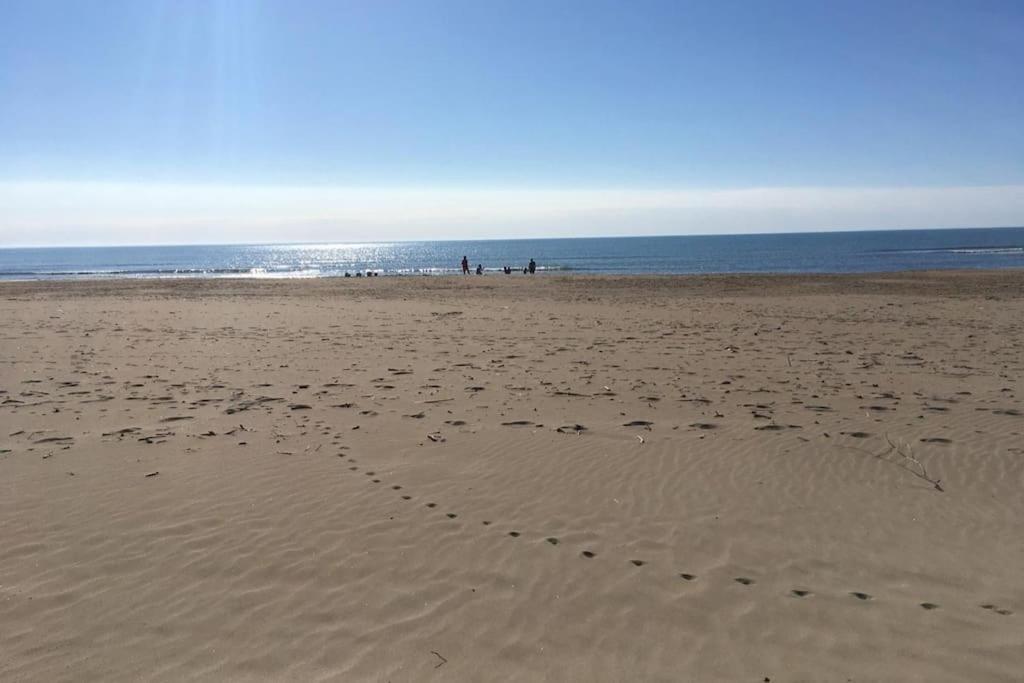 Appartement Neuf 4 Etoiles - Sunset Lodge, Narbonne Plage 외부 사진
